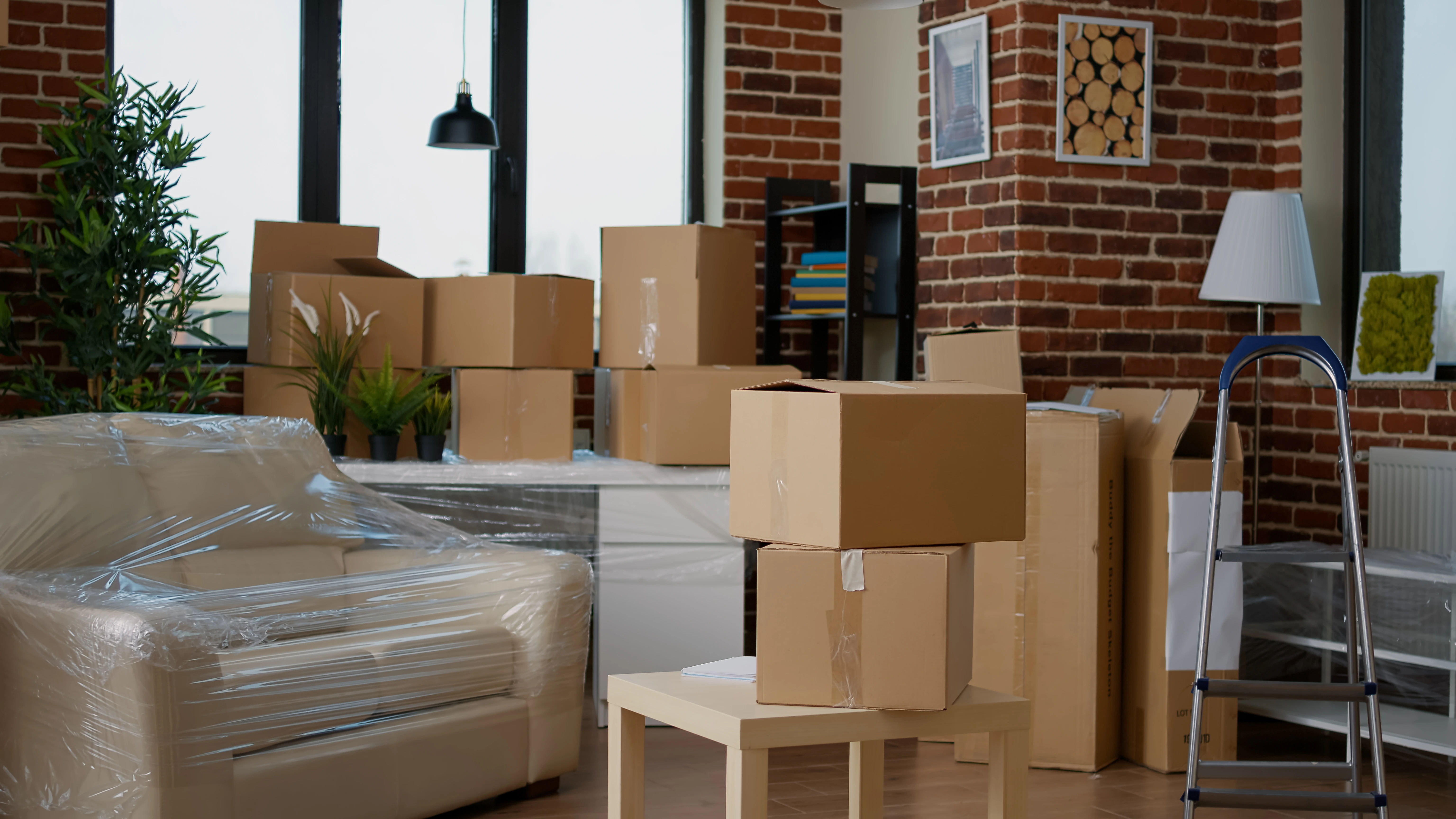 Team managing a professional office relocation